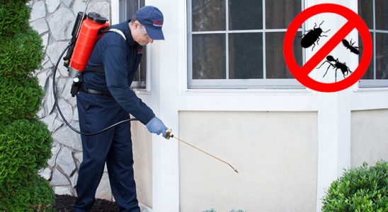 Sarayönü Kene İlaçlama böcek ilaçlama ve haşere kontrolü — ilaclama-tr.com